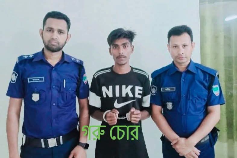 নড়াইলে গরু চুরির মামলায় মামুনের গ্রেপ্তার: ফেলে যাওয়া মোবাইলের মাধ্যমে পুলিশ পেল সাফল্য