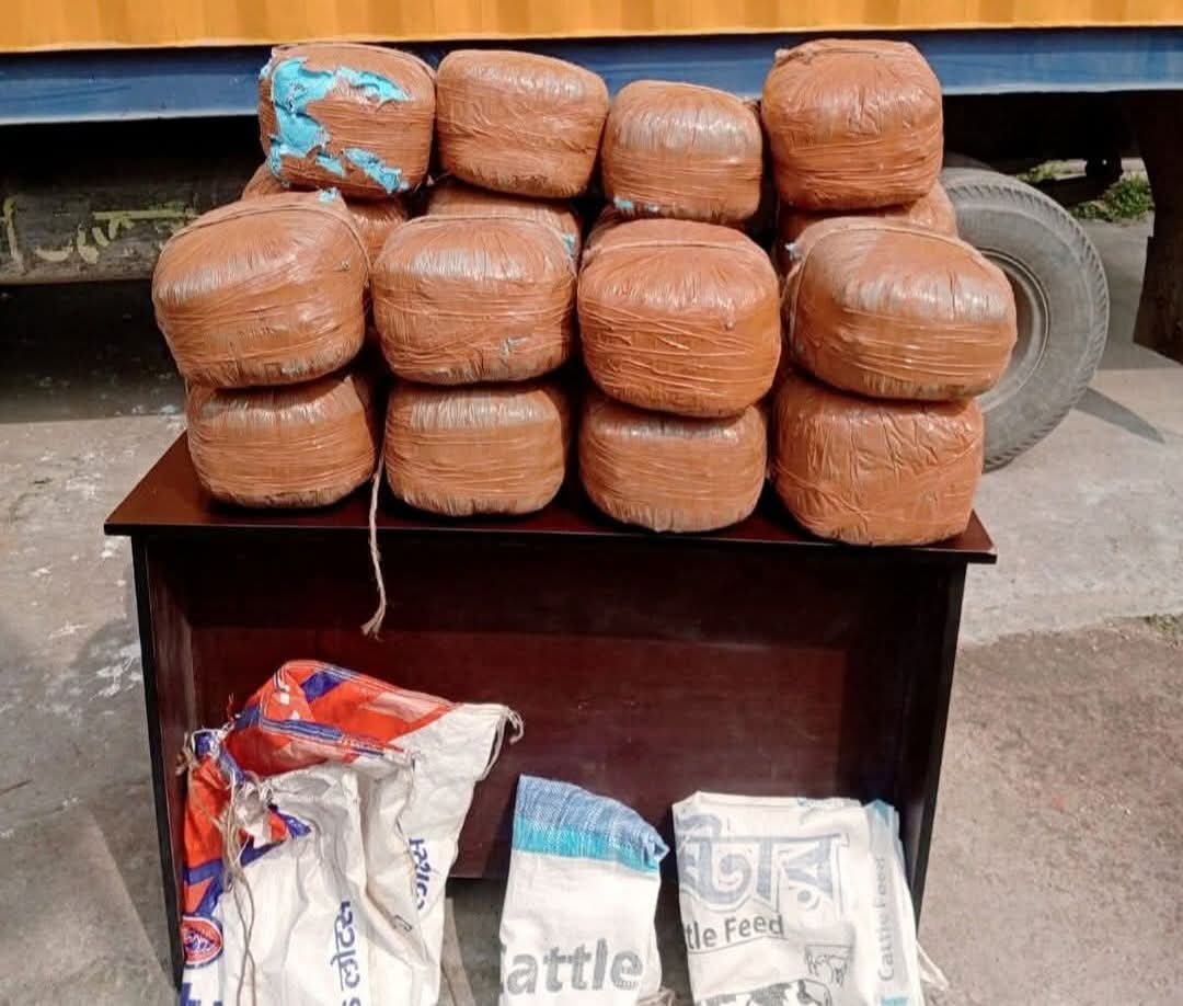 চিরিরবন্দরে পুলিশের অভিযানে  ৬০ কেজি গাঁজা উদ্ধার, পালাল চালক