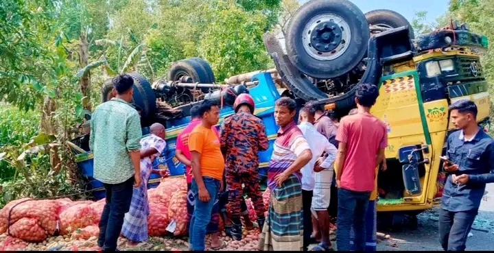 দিনাজপুরের বীরগঞ্জে আলুভর্তি ট্রাক উল্টে আ,হত চালক।