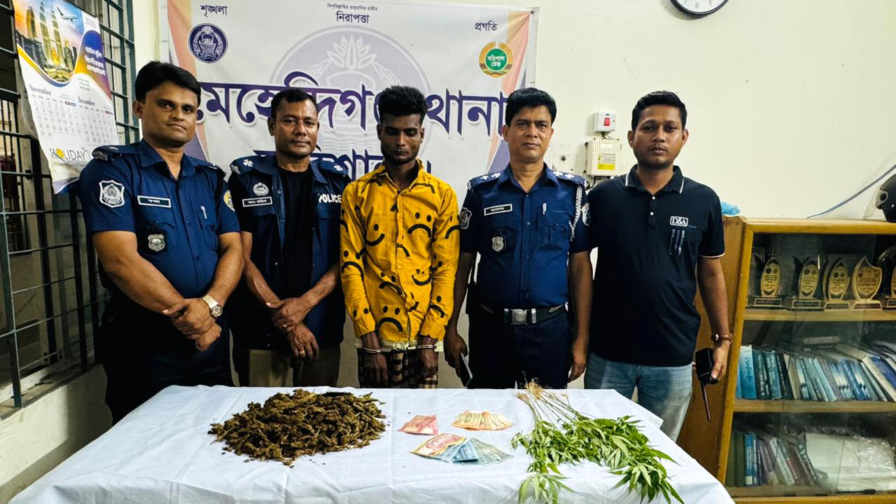 মেহেন্দীগঞ্জে গাঁজাসহ মাদক ব্যবসায়ীর গ্রেফতার: