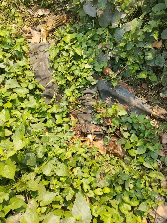 সোনারগাঁয়ের কাচঁপুর দক্ষিণপাড়া এলাকায় এক ব্যক্তির কঙ্কাল দেখতে পেয়েছে এলাকাবাসী