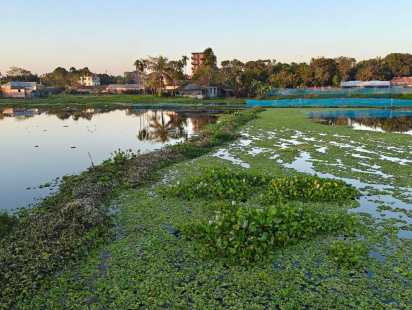 অপরিকল্পিত ফিশারিতে জলাবদ্ধ ফুলপুরের দুই বিল; ২০ বছর ধরে ফসলি জমি অনাবাদী
