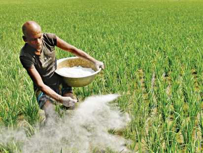 সারের মজুদ নিশ্চিত করতে বেসরকারিভাবে ২ লাখ টন ইউরিয়া আমদানির সিদ্ধান্ত; টেন্ডার আহ্বান