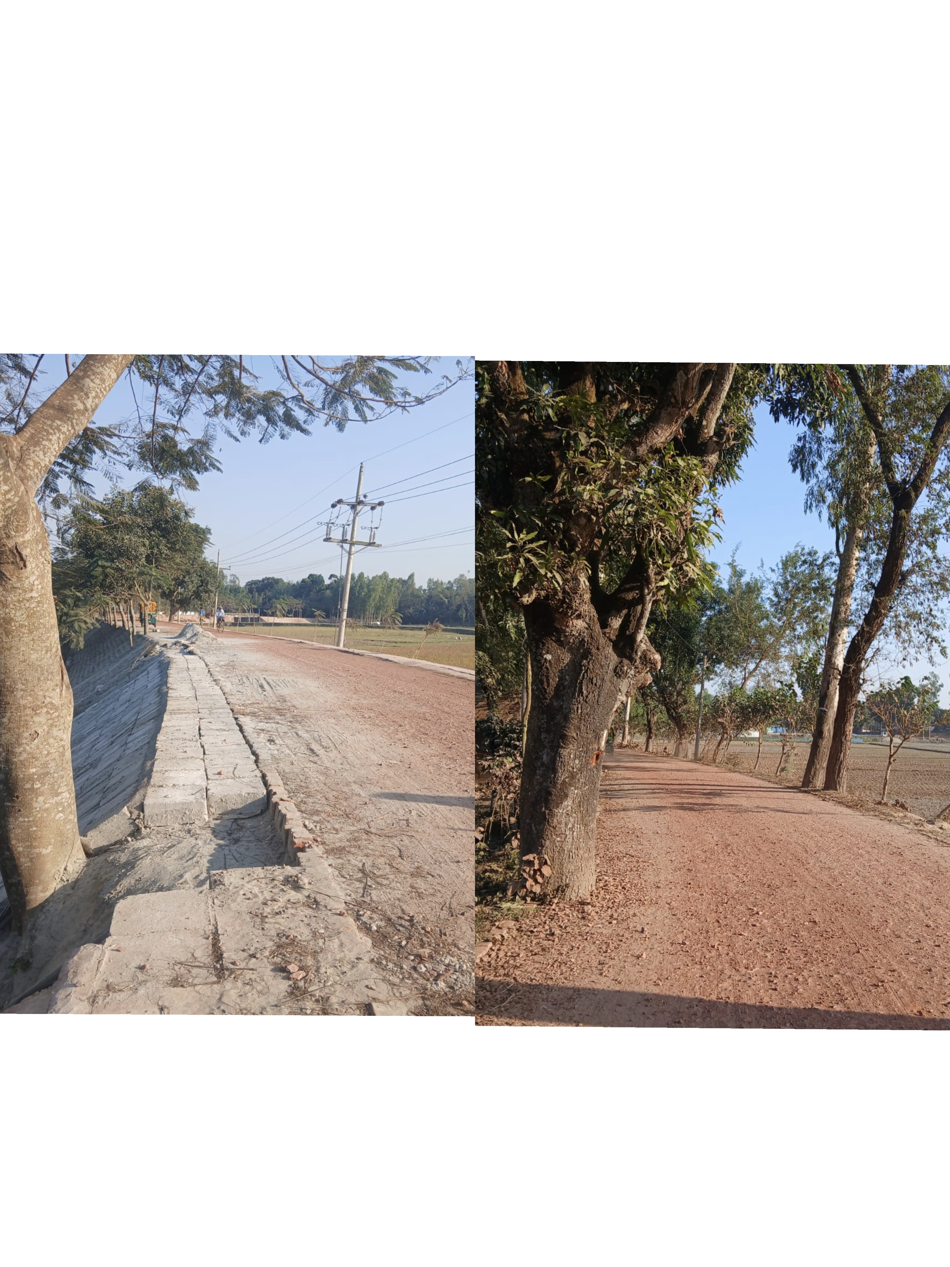 সোনায় মোড়া’ সড়কে সীমাহীন অনিয়ম