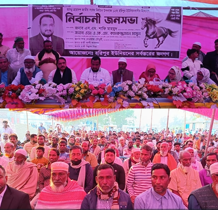 জনসমুদ্রে রূপ নিল স্বতন্ত্র প্রার্থী একেএম কামরুজ্জামান মামুনের নির্বাচনী জনসভা।