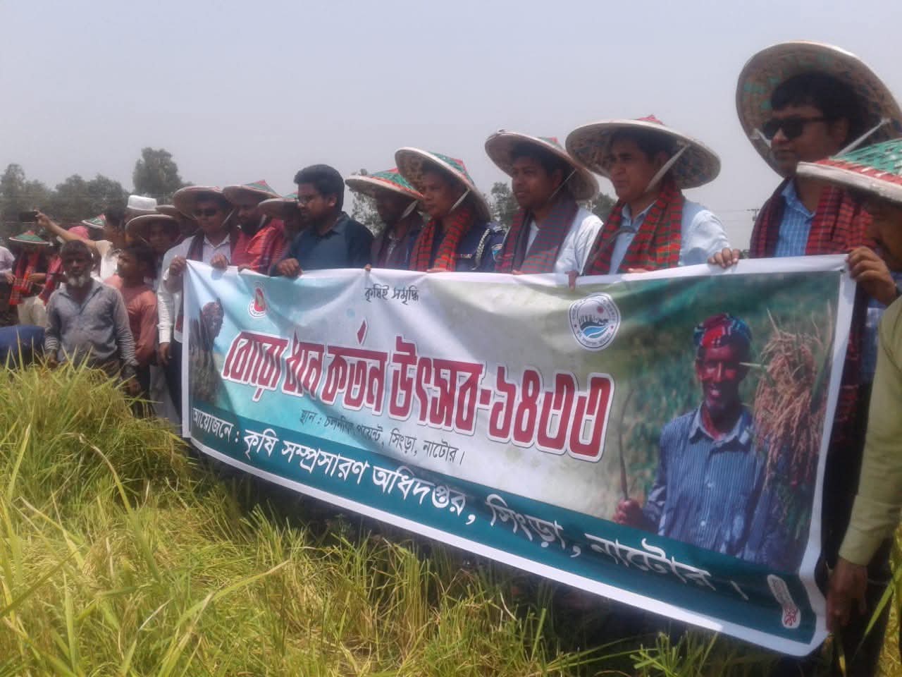 সিংড়ায় বোরো ধান কর্তন উৎসব শুরু, কৃষকদের মুখে হাসি