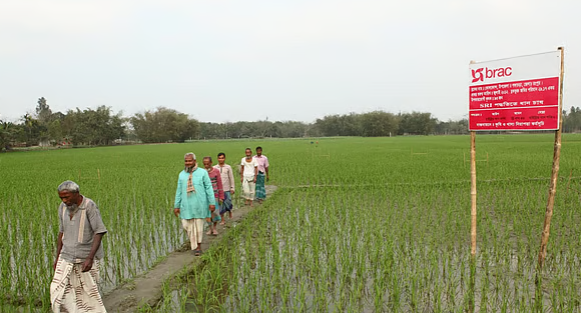 কৃষি ও সামাজিক উন্নয়নে ব্র্যাকের ৫৩ কোটি টাকার বিশেষ কর্মসূচি ঘোষণা