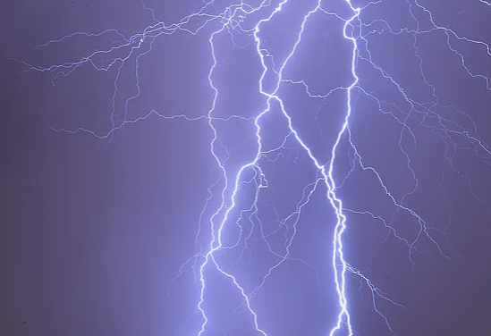 কলাপাড়ায় দুই দিনে বজ্রপাতে ২৯ গরুর মৃত্যু: নিঃস্ব ২৩ কৃষক