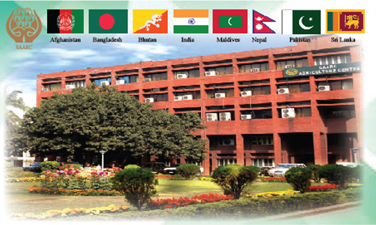 কৃষকের ঝুঁকি কমাতে বিকল্প ফসল ব্যবস্থার পরামর্শ সার্ক কৃষি কেন্দ্রের