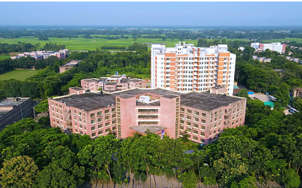 দুই দশক পর হাবিপ্রবি: দেশ-বিদেশে শিক্ষার্থীদের সাফল্যের নতুন অধ্যায়